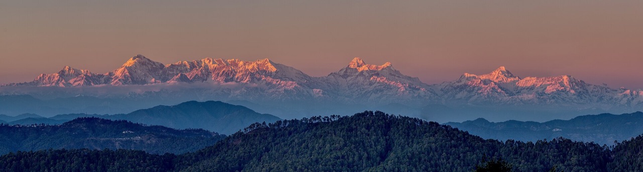 Evening alpenglow lighting a long line of Himalayan peaks above forested ridges